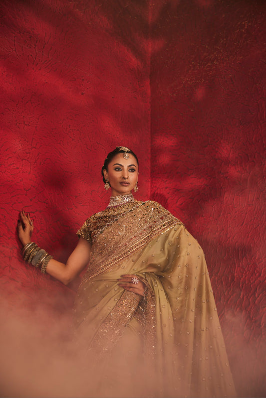 Reva — Saree Set by Payal and Zinal