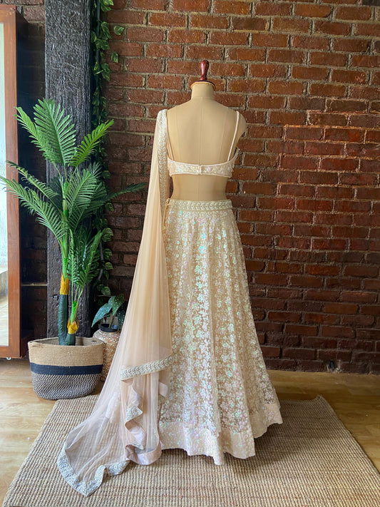Beige Sequin work lehenga set