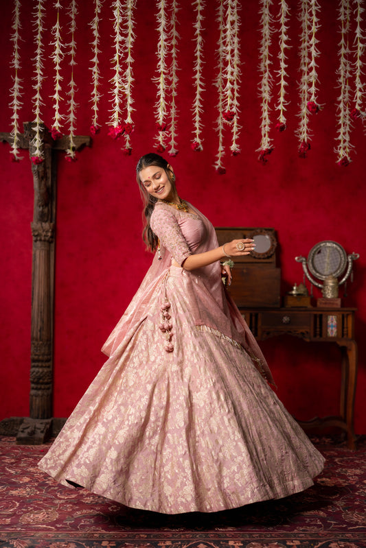Blush Pink Embroidered Lehenga