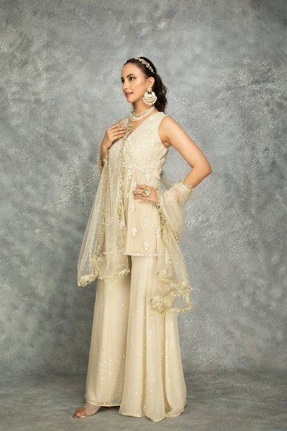 Ivory Organza Embroidered Sharara Set