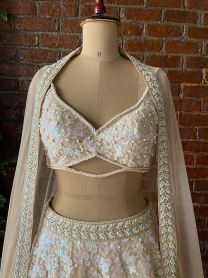 Beige Sequin work lehenga set