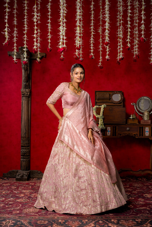 Blush Pink Embroidered Lehenga