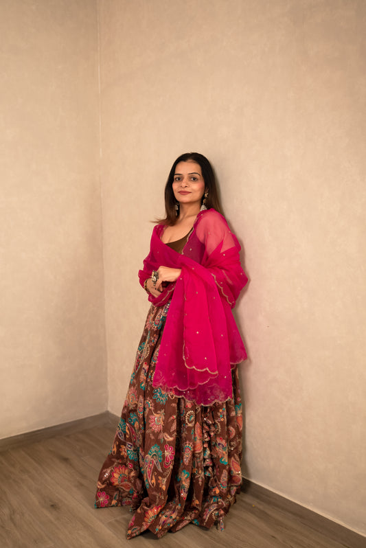 Chocolate Brown Chaniya Choli with Hot Pink Dupatta