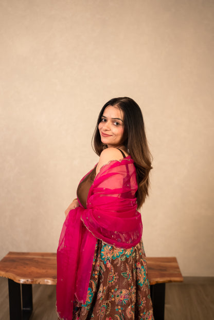 Chocolate Brown Chaniya Choli with Hot Pink Dupatta