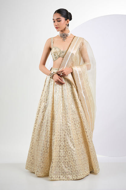 Ivory Banarasi lehenga with hand embroidered blouse and Dupatta