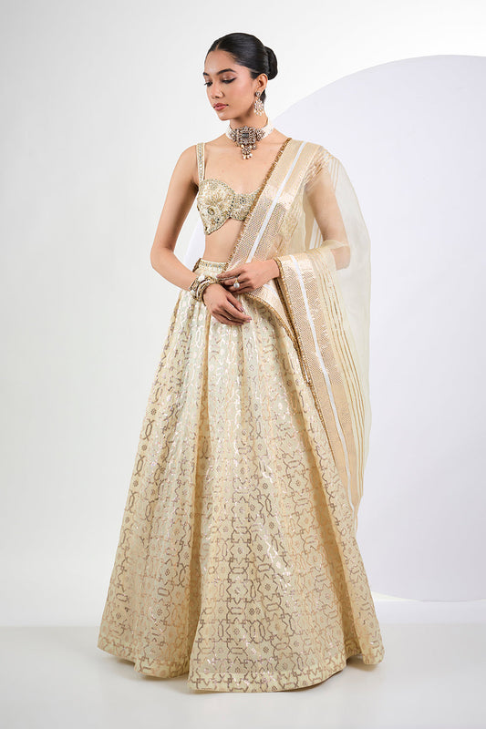 Ivory Banarasi lehenga with hand embroidered blouse and Dupatta