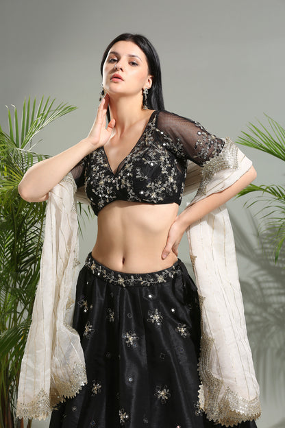 Black mirror embroidered lehenga set