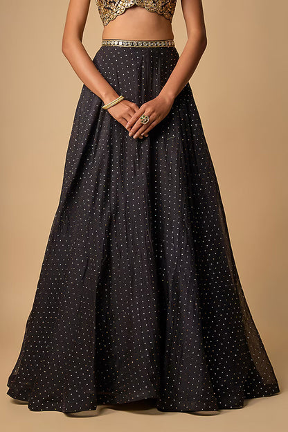 Black Lehenga Set