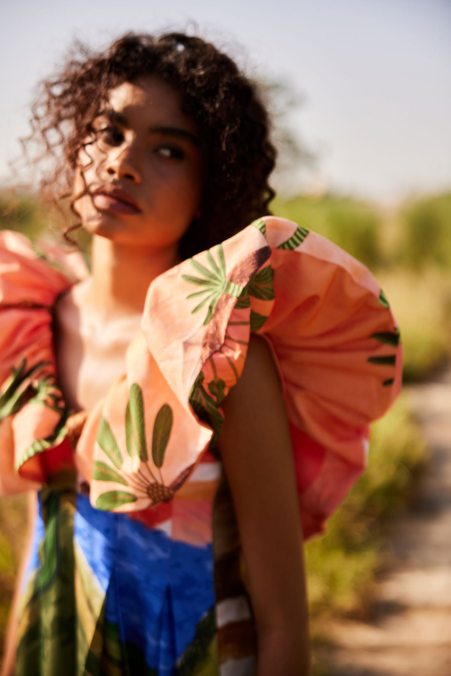 Desert Daisy  Dance