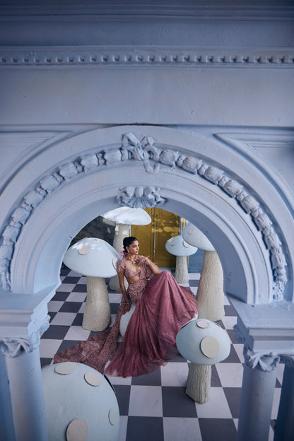 Mary — Saree Set by Payal and Zinal